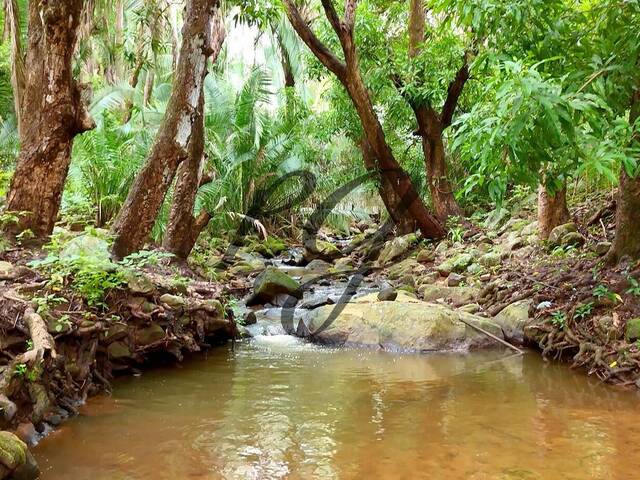 #16 - Chácara para Venda em Viçosa do Ceará - CE - 1