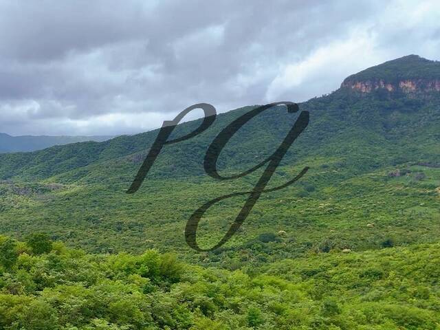 #16 - Chácara para Venda em Viçosa do Ceará - CE - 2