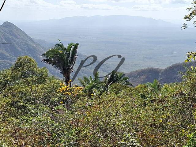 #31 - Sítio para Venda em Viçosa do Ceará - CE - 1